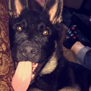 Meet your Posher, Jansen