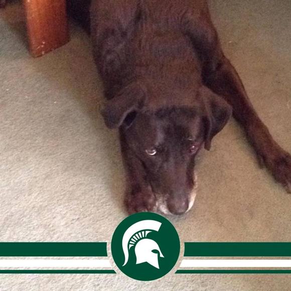 Meet your Posher, Emma - Picture 1 of 1