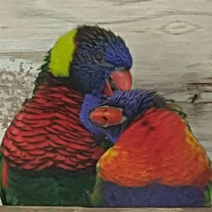 Meet your Posher, Ruby ann