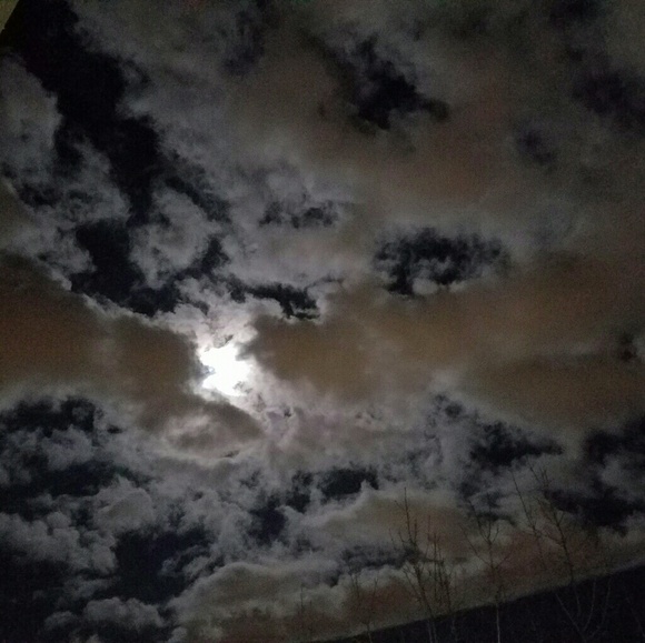 Meet your Posher, Nicole - Picture 1 of 1