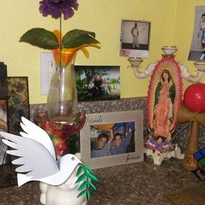 Meet your Posher, Irma rocio