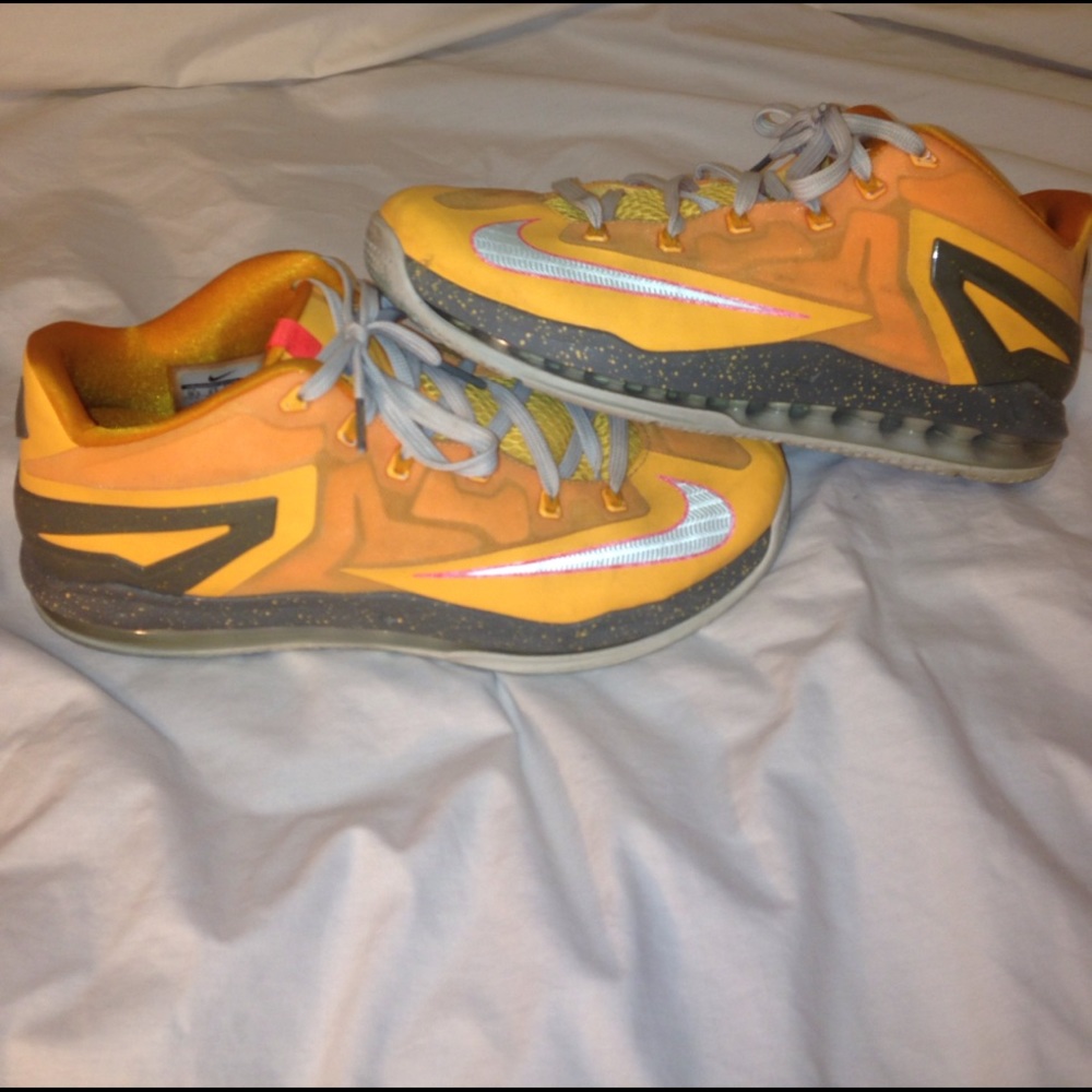 Lebron 11 low "Floridian"