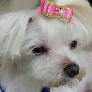 Meet your Posher, Po