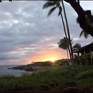 Meet your Posher, Richard