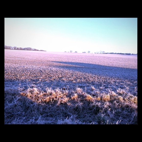 Meet your Posher, Tim - Picture 2 of 8