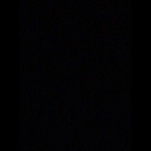 Meet your Posher, Lester