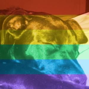 Meet your Posher, Leigh