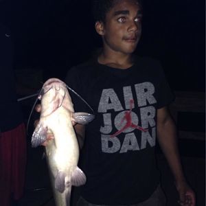 Meet your Posher, Bear