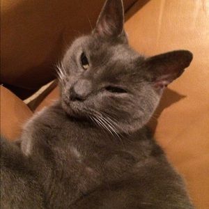 Meet your Posher, Cate