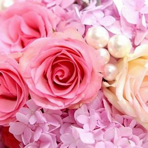 Meet your Posher, Nelly