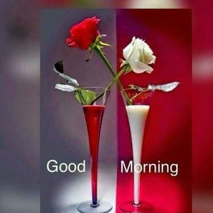 Meet your Posher, Yolande