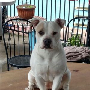 Meet your Posher, Zachary