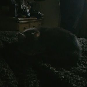 Meet your Posher, Jodi