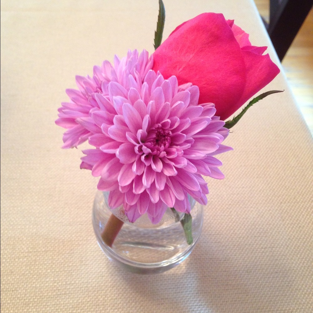 Meet your Posher, Liz