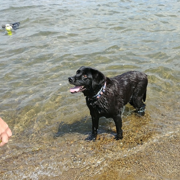 Meet your Posher, Vanessa - Picture 2 of 6