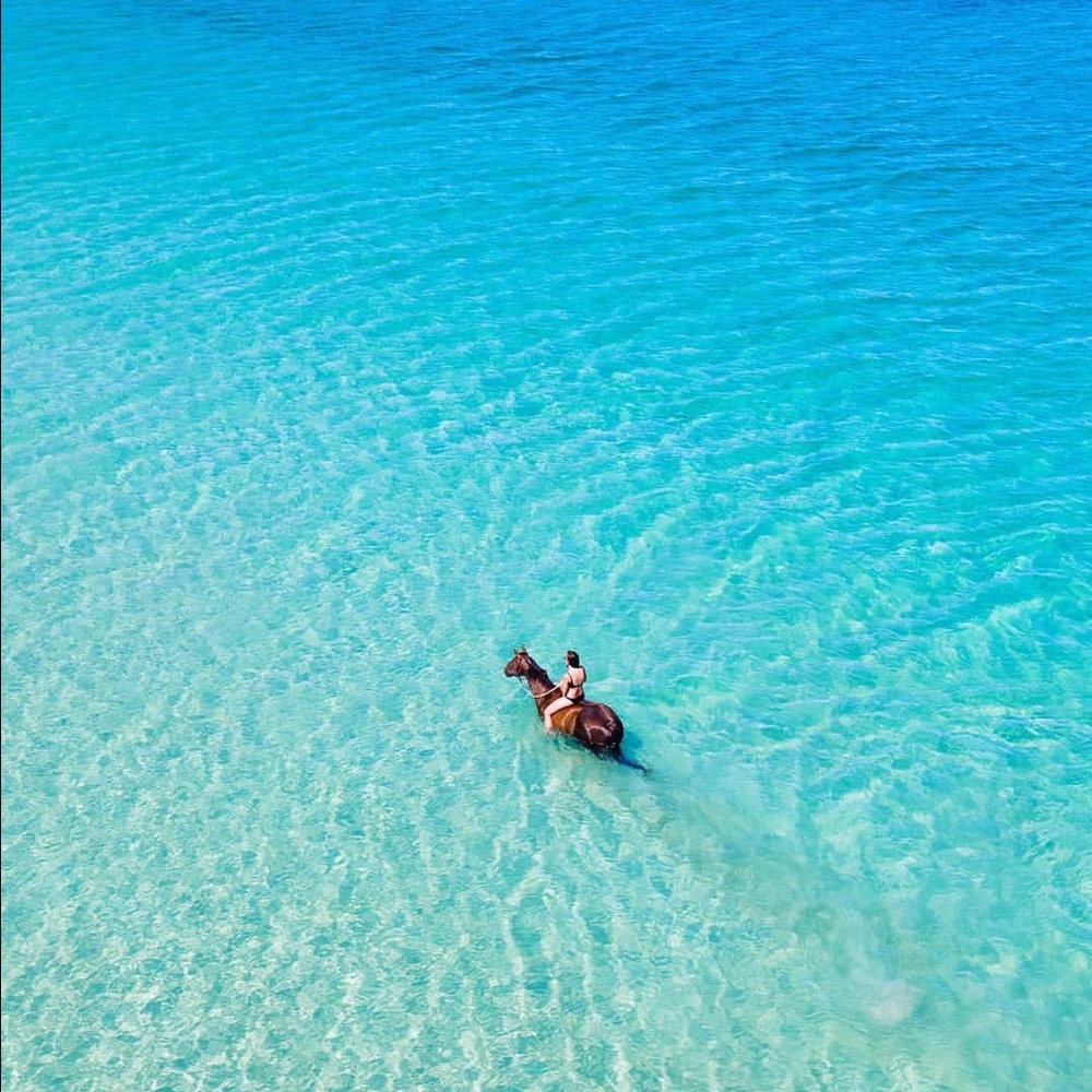 Meet your Posher, Franci