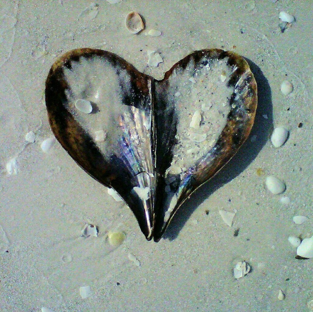 Meet your Posher, Lillian