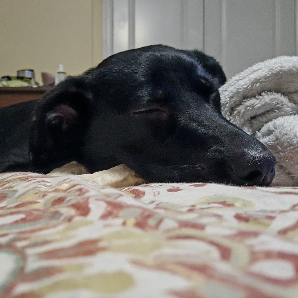 Meet your Posher, Kim