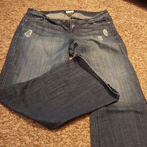 Maurices  18w jeans