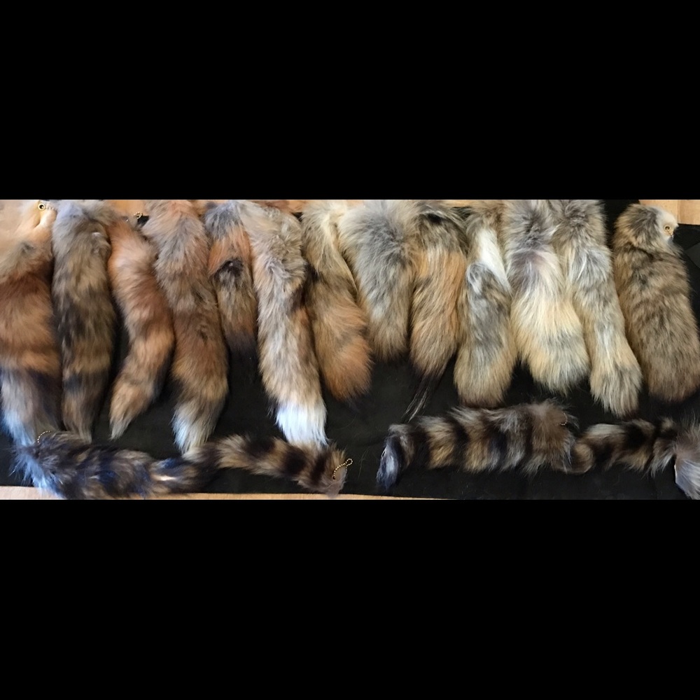 Raccoon tails