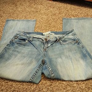 Maurices  16w jeans