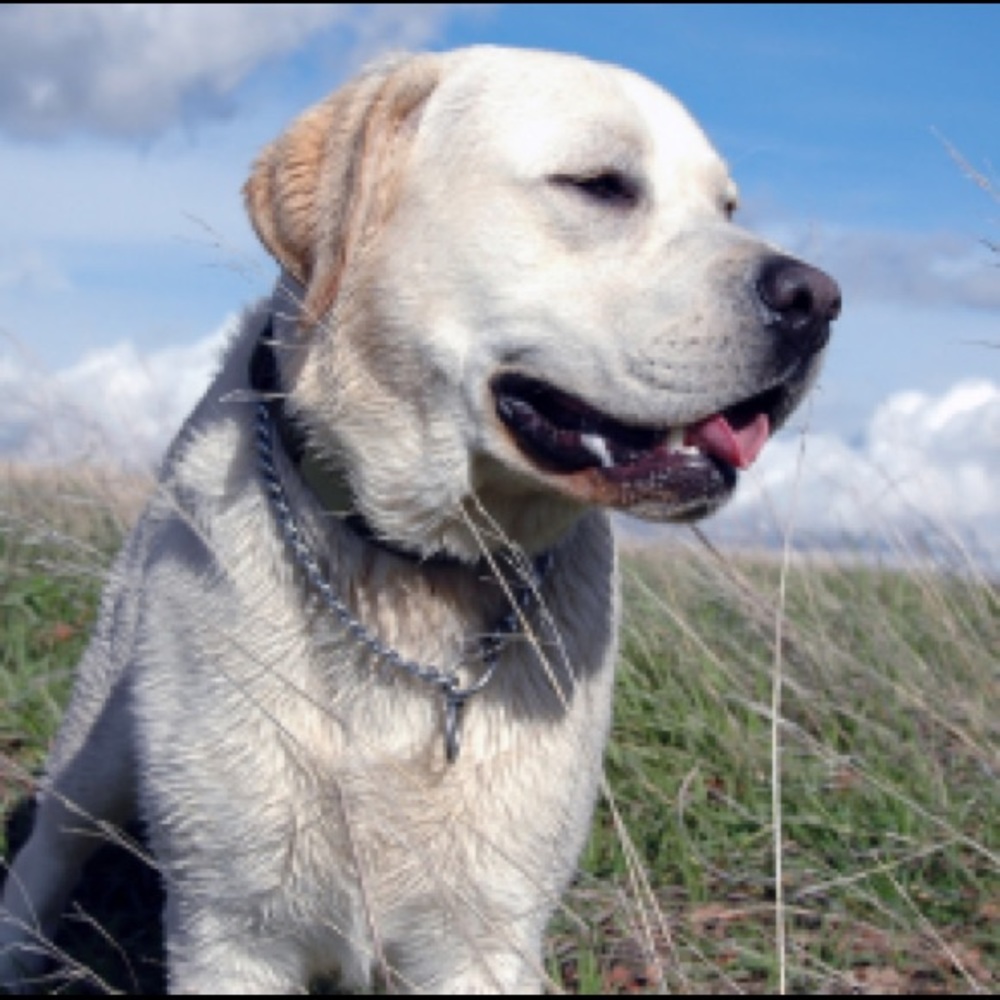 Meet your Posher, Camryn