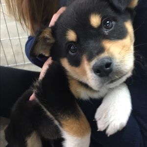 Meet your Posher, Uyen