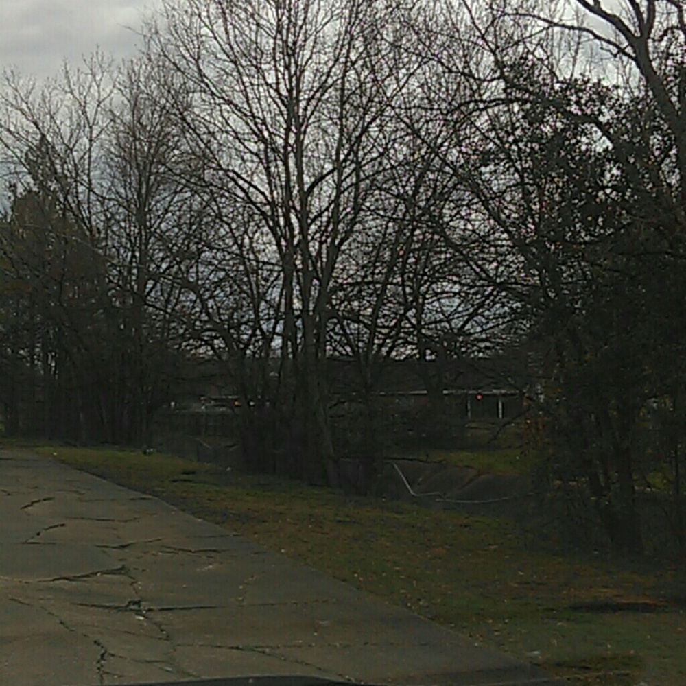 Meet your Posher, Antoinette