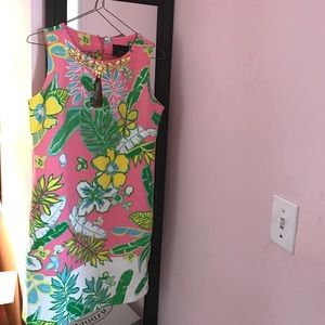 Pink and green floral dress