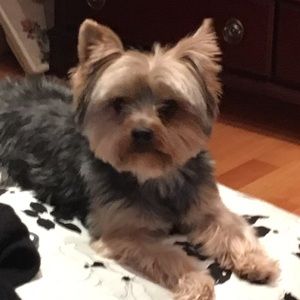 Meet your Posher, Kaia
