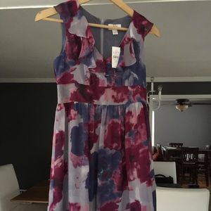 NWT Loft size 2P dress