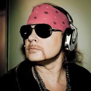 Meet your Posher, Dolores