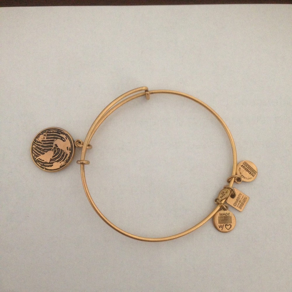 Alex and Ani bracelet
