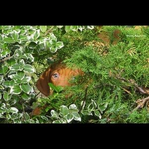 Meet your Posher, Leslie