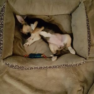 Meet your Posher, Amberly