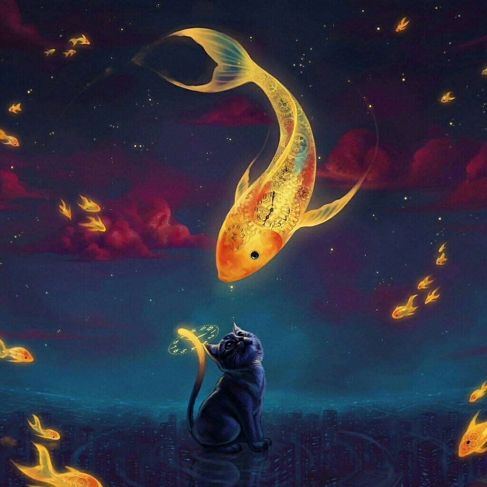 Meet your Posher, Leigh