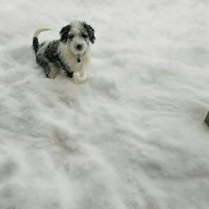 Meet your Posher, Terry