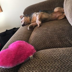 Meet your Posher, Mady