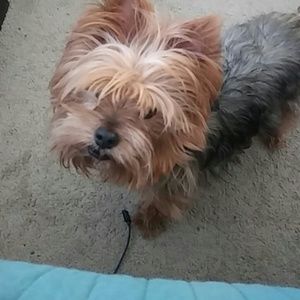 Meet your Posher, Phyllis