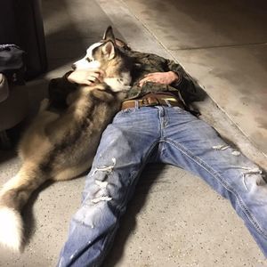 Meet your Posher, Travis