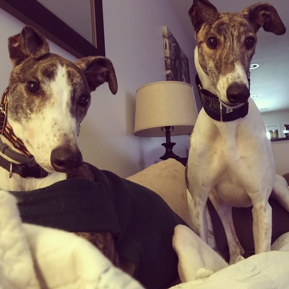 Meet your Posher, Krista - Picture 4 of 4