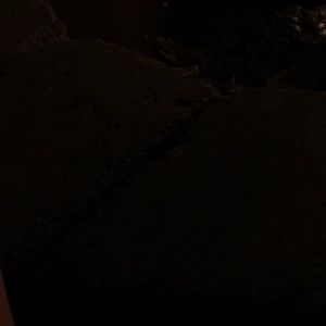 Meet your Posher, Eliza