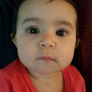 Meet your Posher, Dagmar