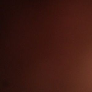 Meet your Posher, Gianna