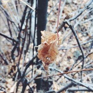 Meet your Posher, Angel