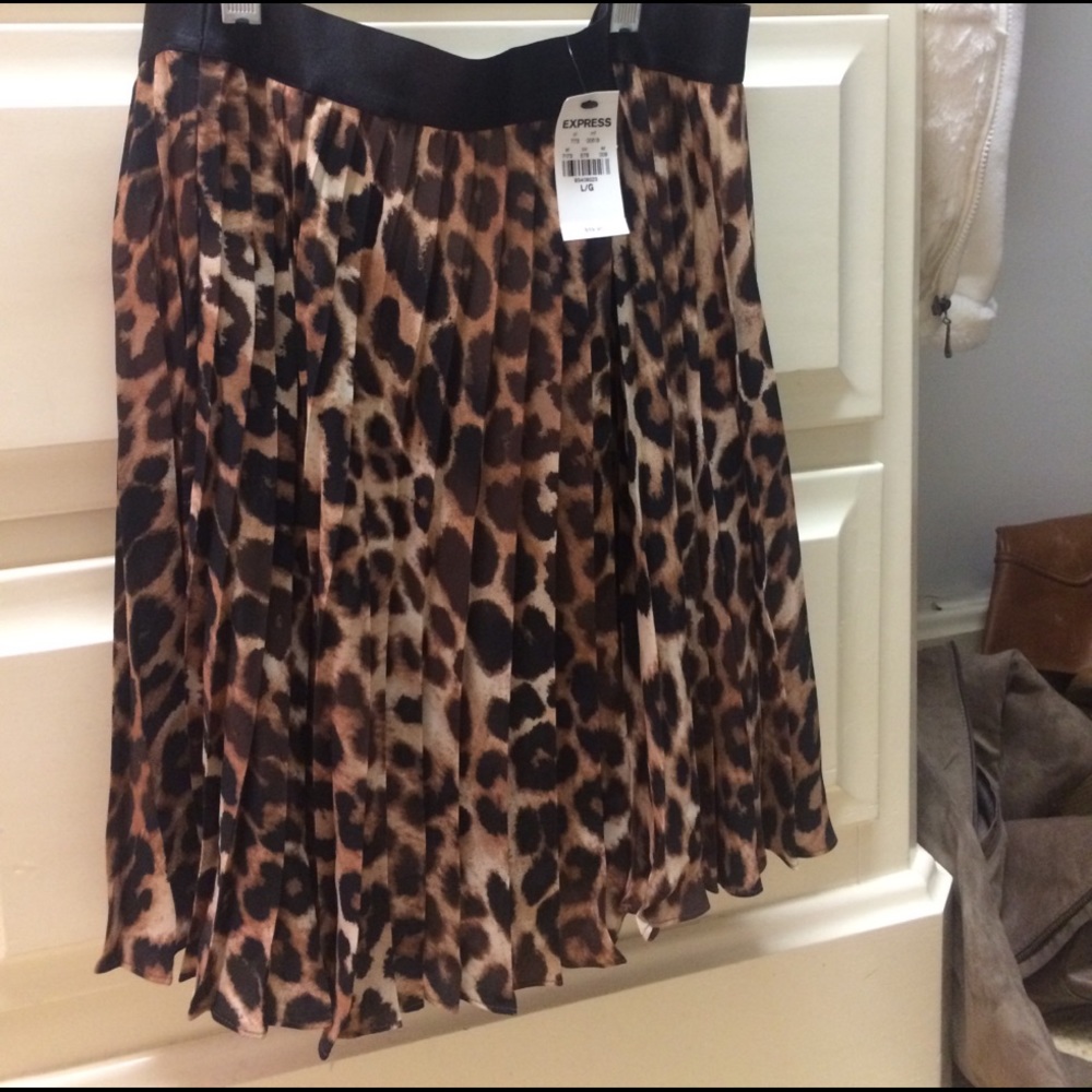 Cheetah mini skirt