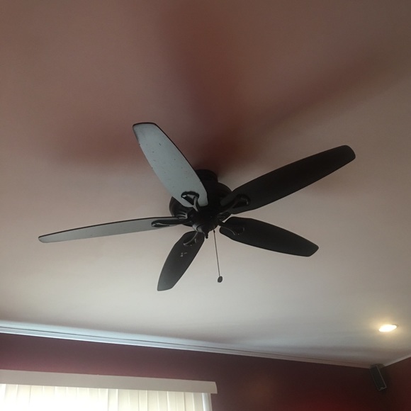 Meet your Posher, Barry - Picture 1 of 1