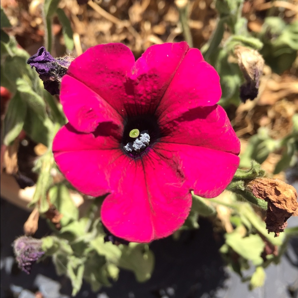 Meet your Posher, Katherine