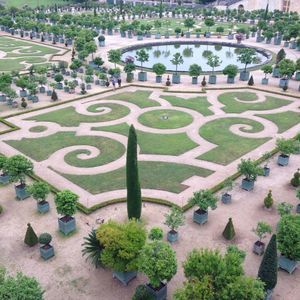 Meet your Posher, Asha