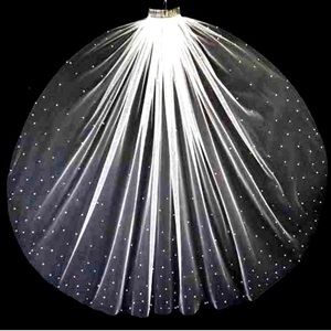 Gorgeous scattered crystal Wedding Veil